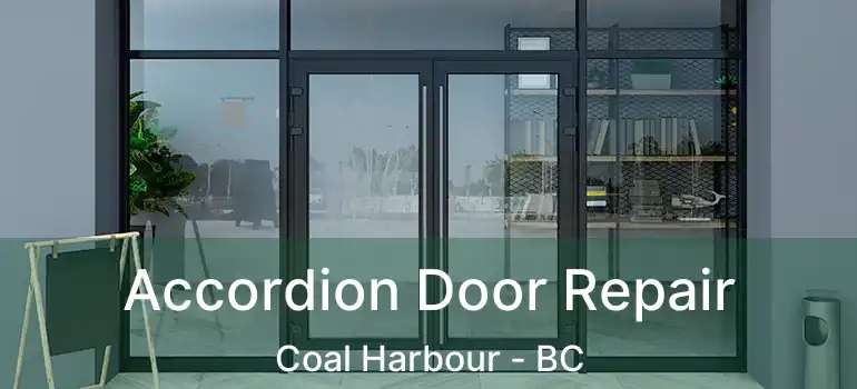  Accordion Door Repair Coal Harbour - BC