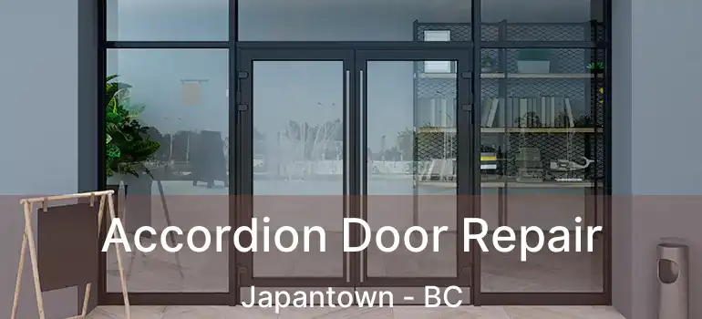  Accordion Door Repair Japantown - BC
