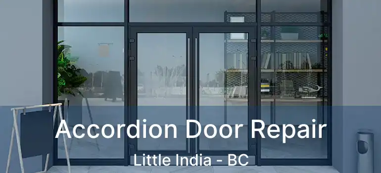  Accordion Door Repair Little India - BC