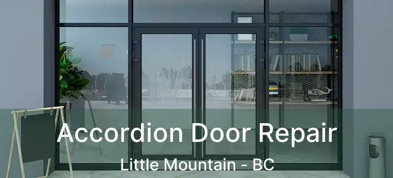 Accordion Door Repair Little Mountain - BC
