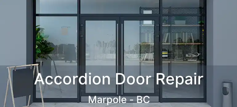  Accordion Door Repair Marpole - BC