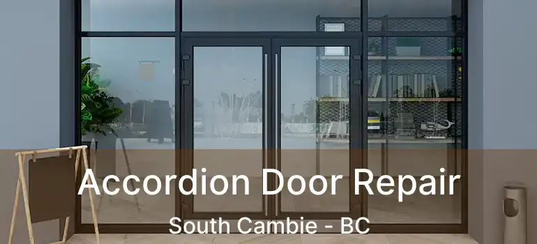  Accordion Door Repair South Cambie - BC