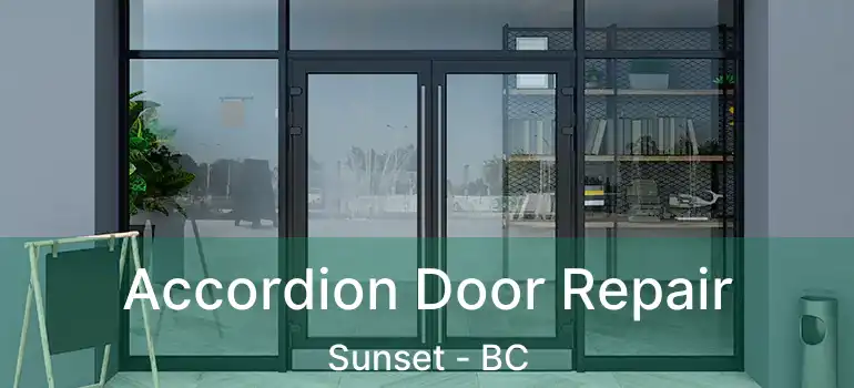  Accordion Door Repair Sunset - BC