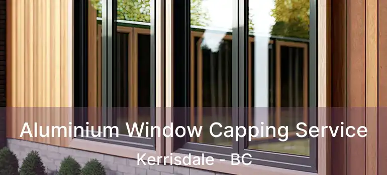  Aluminium Window Capping Service Kerrisdale - BC