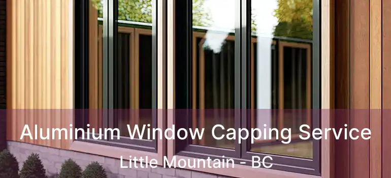 Aluminium Window Capping Service Little Mountain - BC