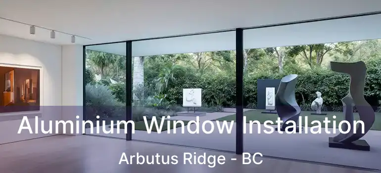  Aluminium Window Installation Arbutus Ridge - BC
