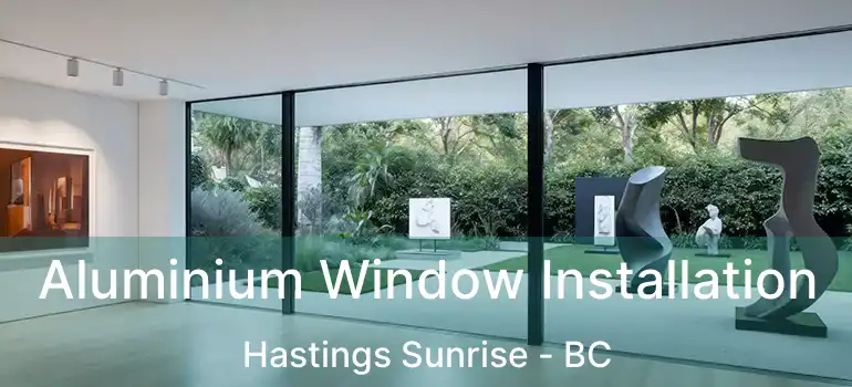  Aluminium Window Installation Hastings Sunrise - BC