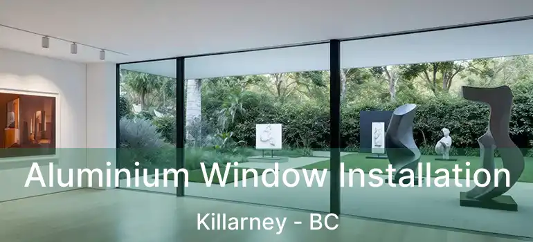  Aluminium Window Installation Killarney - BC