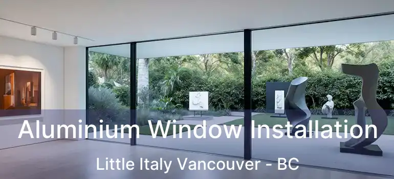  Aluminium Window Installation Little Italy Vancouver - BC