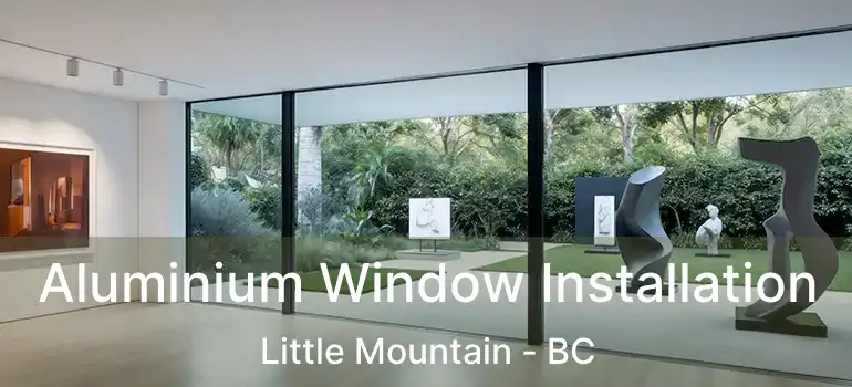  Aluminium Window Installation Little Mountain - BC