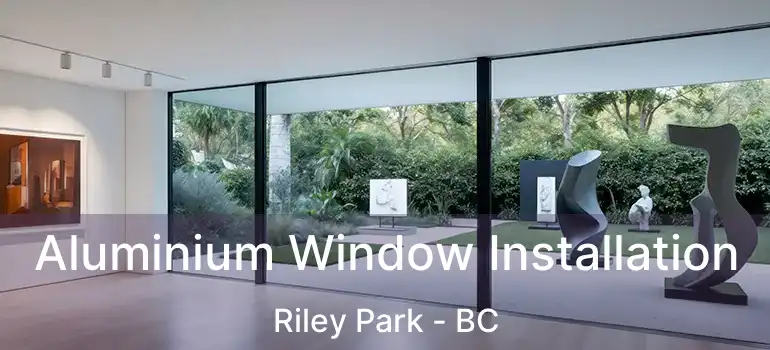  Aluminium Window Installation Riley Park - BC