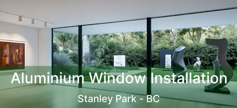 Aluminium Window Installation Stanley Park - BC