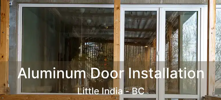  Aluminum Door Installation Little India - BC