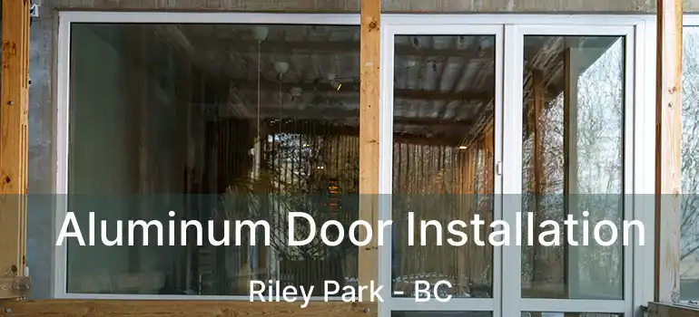  Aluminum Door Installation Riley Park - BC