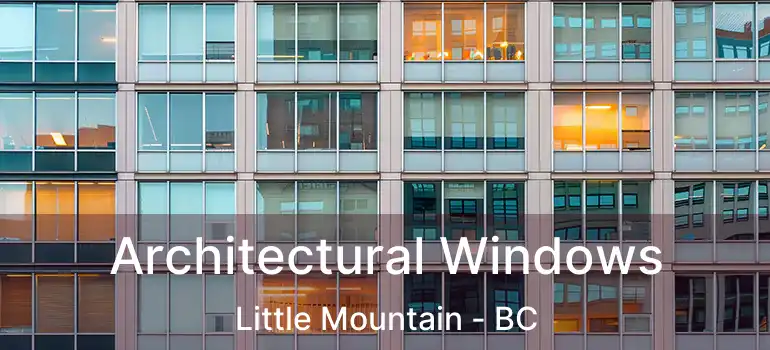  Architectural Windows Little Mountain - BC