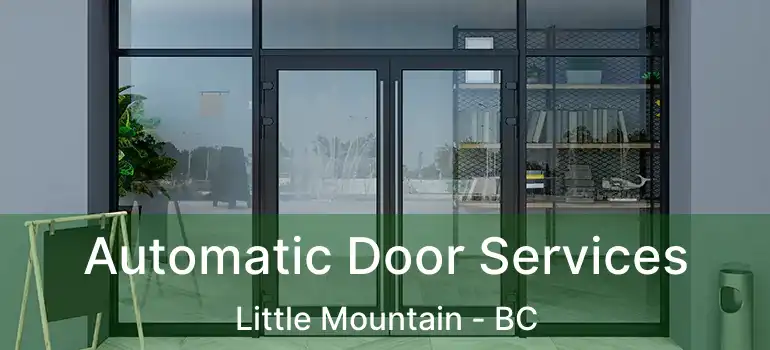  Automatic Door Services Little Mountain - BC
