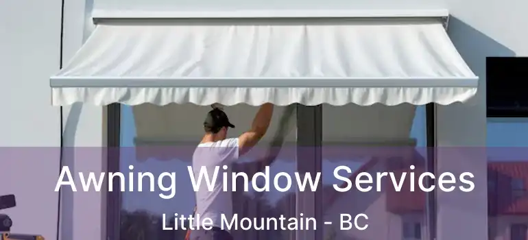  Awning Window Services Little Mountain - BC
