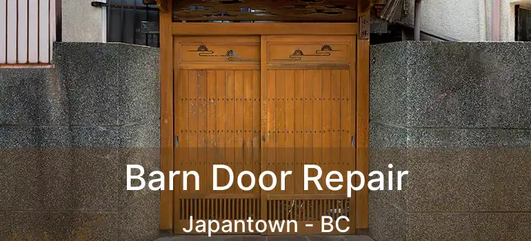  Barn Door Repair Japantown - BC