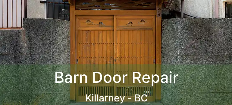  Barn Door Repair Killarney - BC