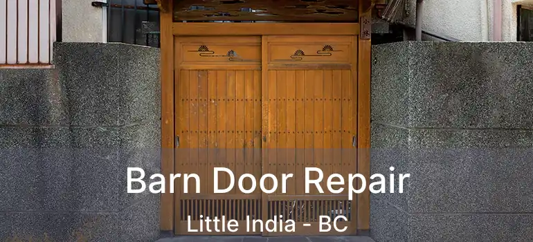  Barn Door Repair Little India - BC