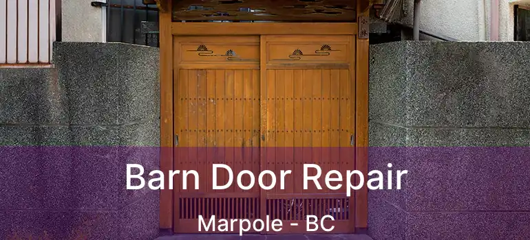  Barn Door Repair Marpole - BC