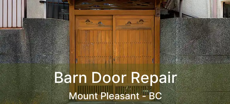  Barn Door Repair Mount Pleasant - BC