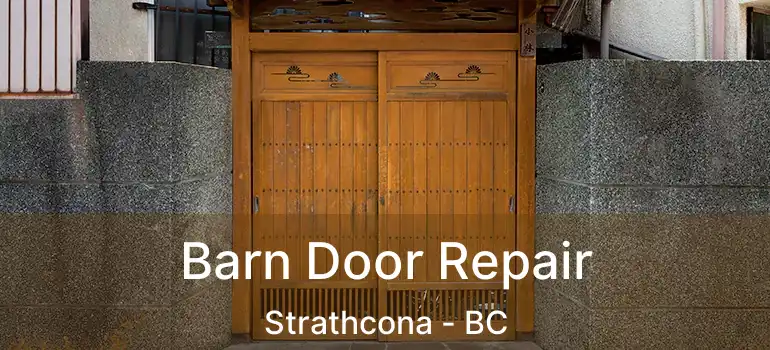  Barn Door Repair Strathcona - BC