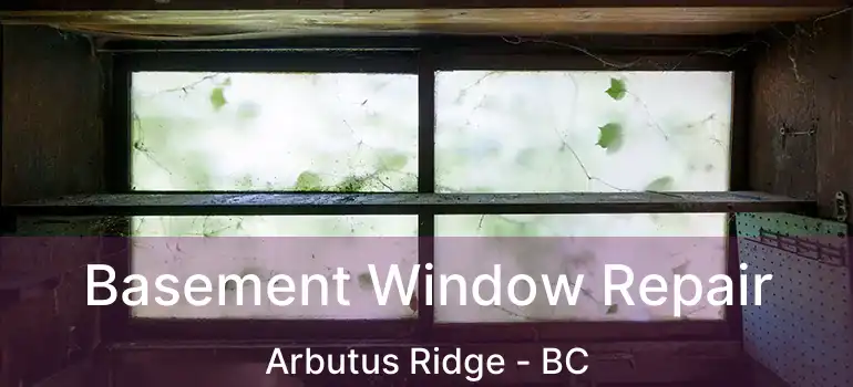  Basement Window Repair Arbutus Ridge - BC