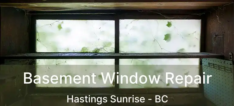  Basement Window Repair Hastings Sunrise - BC