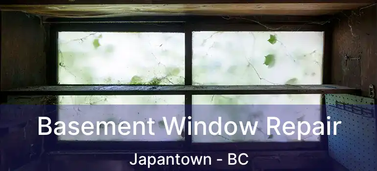  Basement Window Repair Japantown - BC