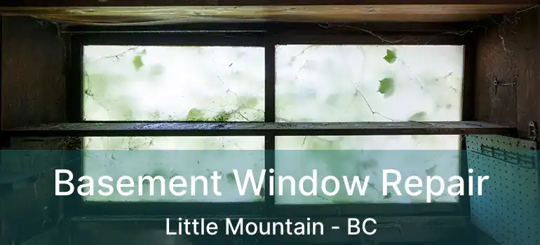 Basement Window Repair Little Mountain - BC