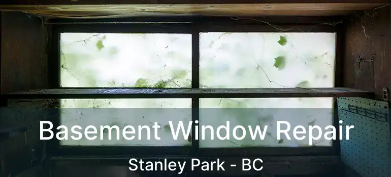  Basement Window Repair Stanley Park - BC