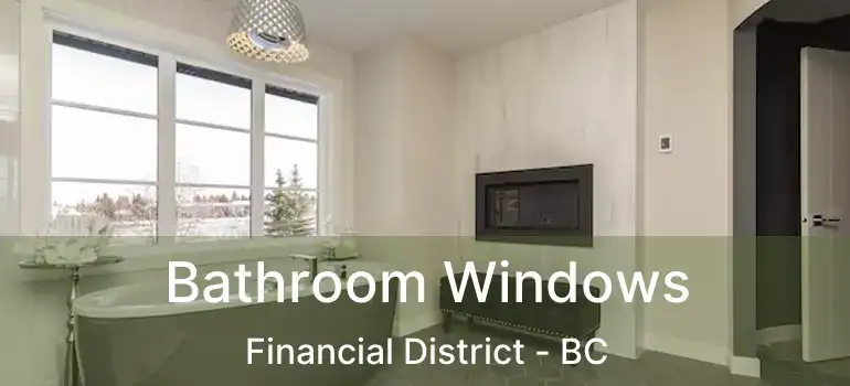 Bathroom Windows Financial District - BC