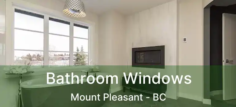  Bathroom Windows Mount Pleasant - BC