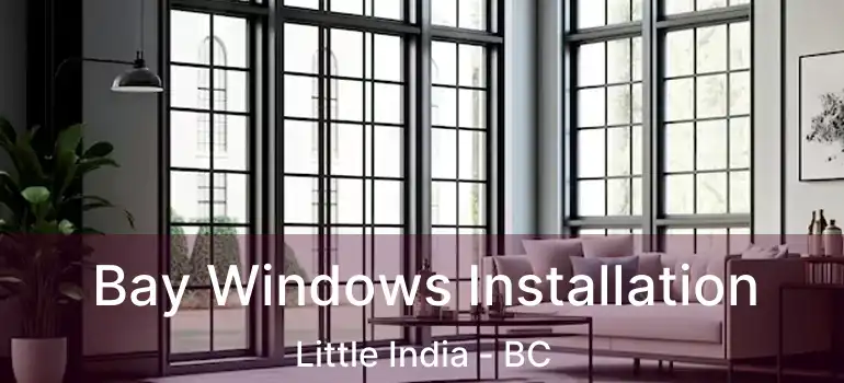  Bay Windows Installation Little India - BC