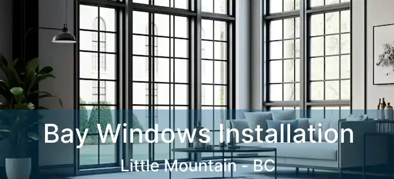  Bay Windows Installation Little Mountain - BC