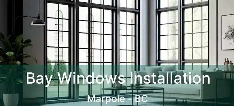  Bay Windows Installation Marpole - BC