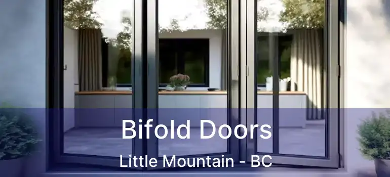  Bifold Doors Little Mountain - BC