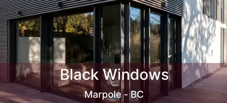  Black Windows Marpole - BC