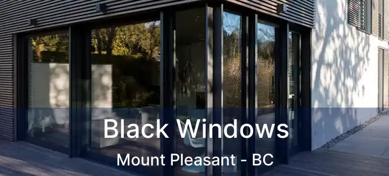  Black Windows Mount Pleasant - BC