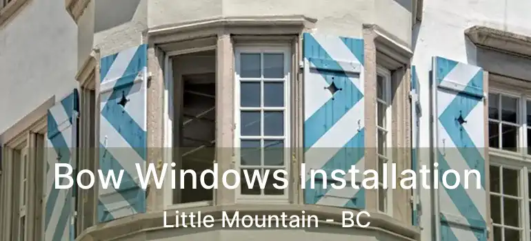  Bow Windows Installation Little Mountain - BC