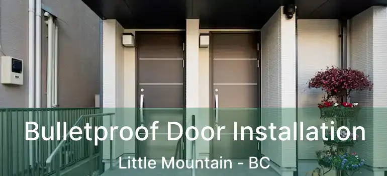  Bulletproof Door Installation Little Mountain - BC