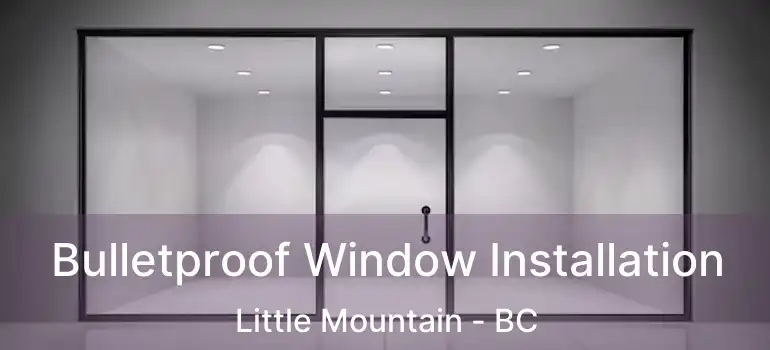  Bulletproof Window Installation Little Mountain - BC