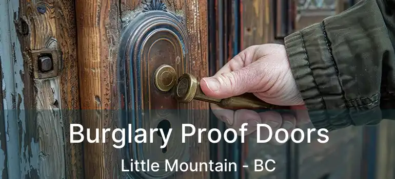  Burglary Proof Doors Little Mountain - BC