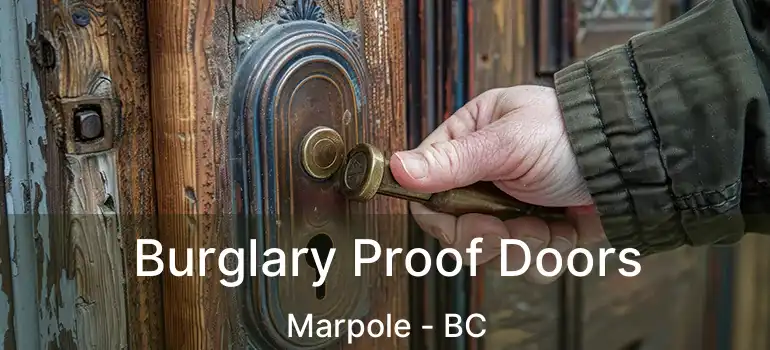  Burglary Proof Doors Marpole - BC