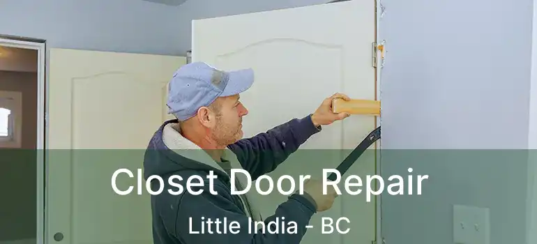  Closet Door Repair Little India - BC
