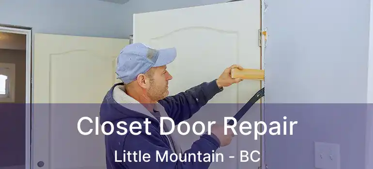  Closet Door Repair Little Mountain - BC