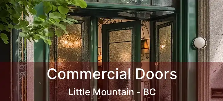  Commercial Doors Little Mountain - BC