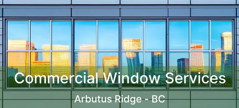  Commercial Window Services Arbutus Ridge - BC