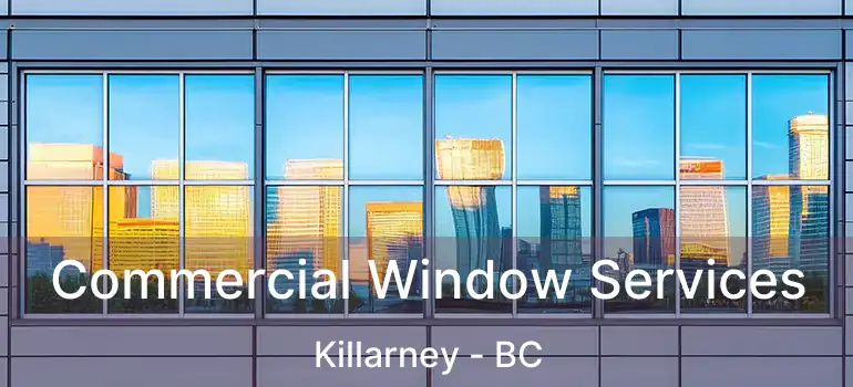  Commercial Window Services Killarney - BC